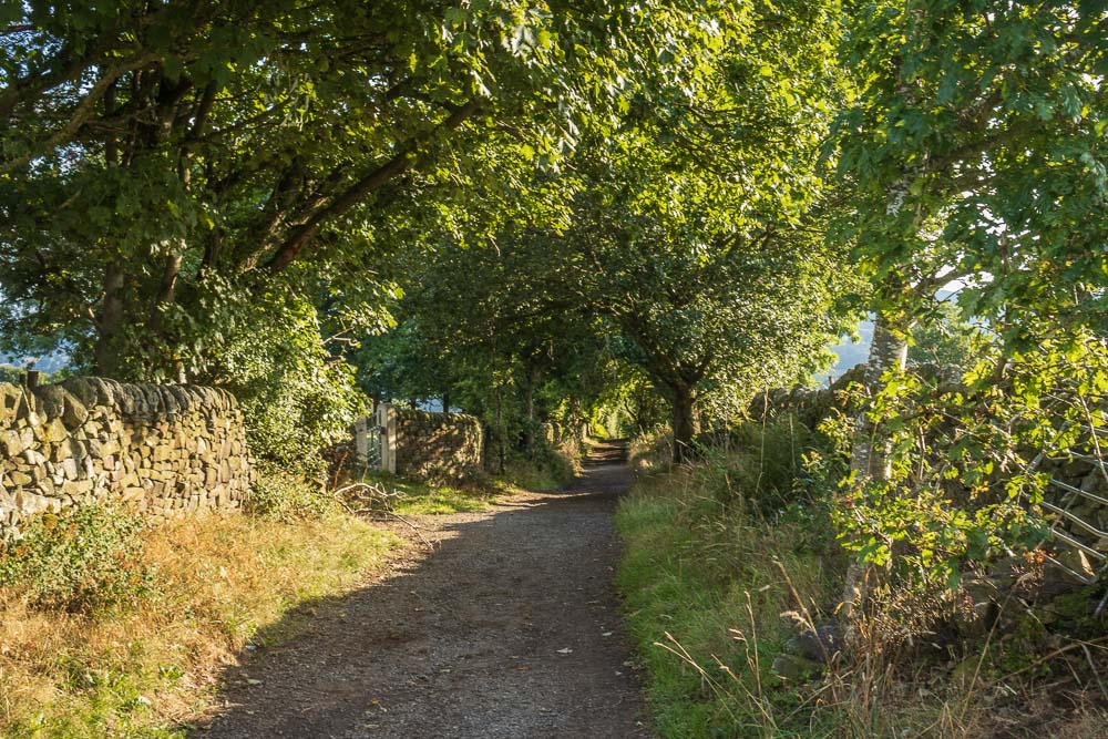 Bar Road